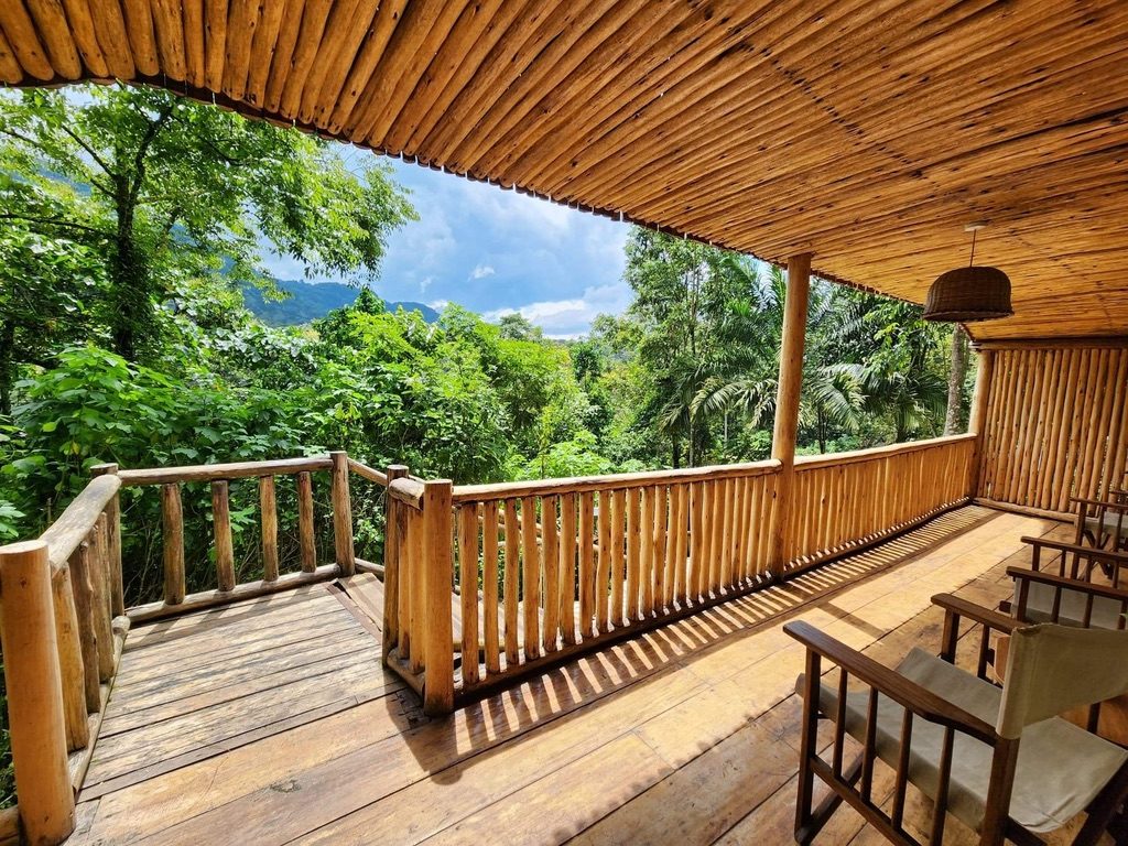A wooden deck overlooking a tropical jungle. The kind of place earnings give you the option to work from.
